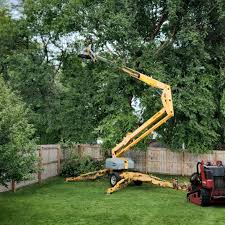 Best Tree Health Inspection  in Rancho Tehama Reserve, CA