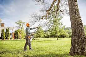 Best Hedge Trimming  in Rancho Tehama Reserve, CA