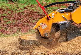 Best Aeration Services  in Rancho Tehama Reserve, CA