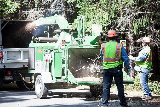 Best Seasonal Cleanup (Spring/Fall)  in Rancho Tehama Reserve, CA