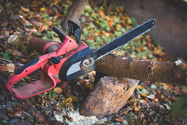 Best Stump Grinding and Removal  in Rancho Tehama Reserve, CA